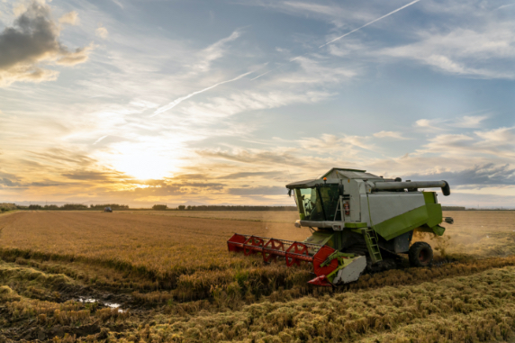 Cognitys vous accompagne dans la gestion de votre comptabilité agrociole en Normandie